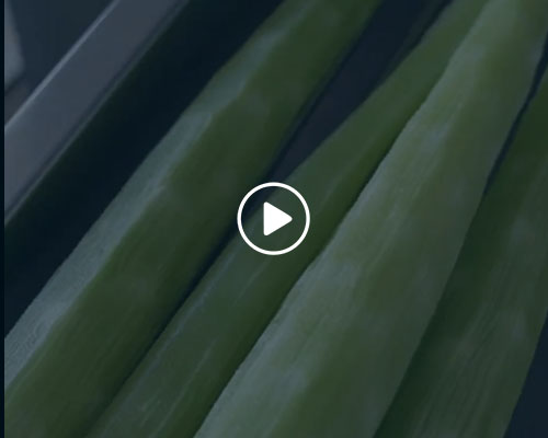 萵苣去皮機(jī)