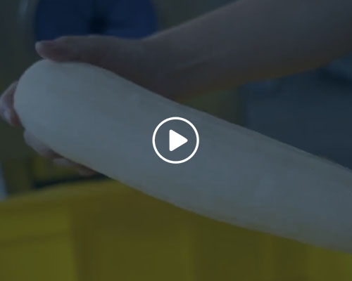 白蘿卜去皮機(jī)