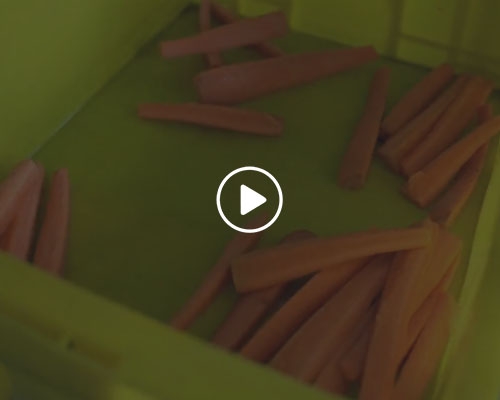 立式分瓣機(jī)