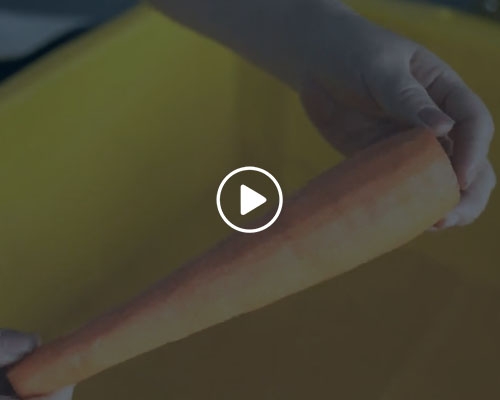 胡蘿卜去皮機(jī)