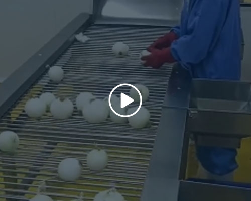 洋蔥去皮生產(chǎn)線