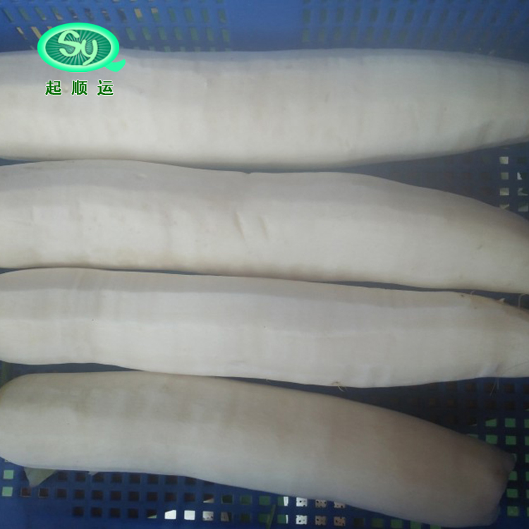 白蘿卜去皮機(jī) 白蘿卜去皮機(jī)