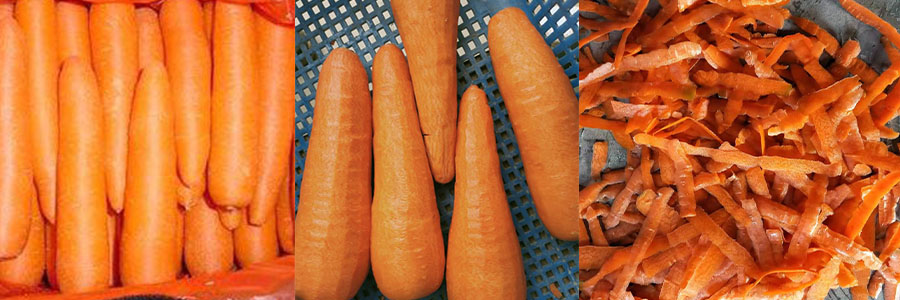 胡蘿卜去皮機(jī) 胡蘿卜去皮機(jī)