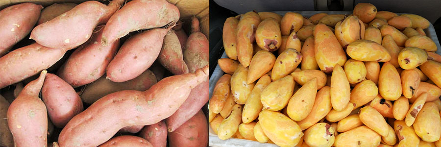 螺旋去皮機 螺旋去皮機