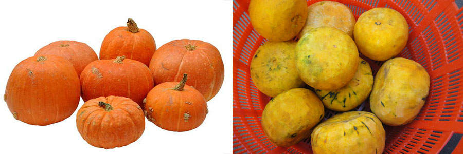 螺旋去皮機 螺旋去皮機