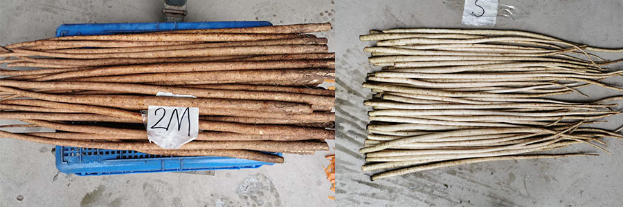 牛蒡磨皮機(jī)