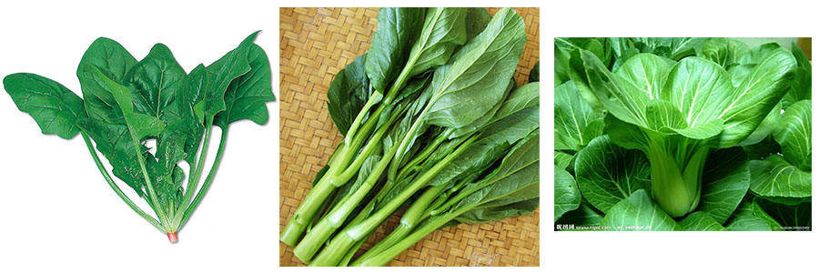 氣泡清洗機 氣泡清洗機