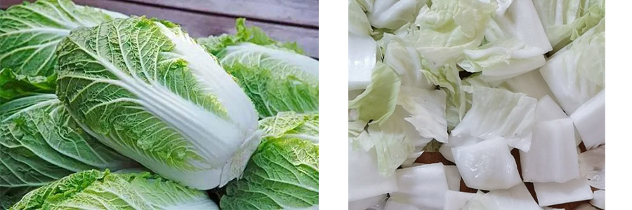 白菜切塊機 白菜切塊機