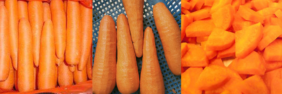 胡蘿卜切片、分半一體機(jī)