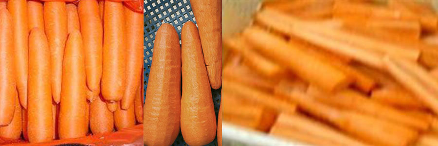 1603956013257367.jpg 胡蘿卜分半.jpg