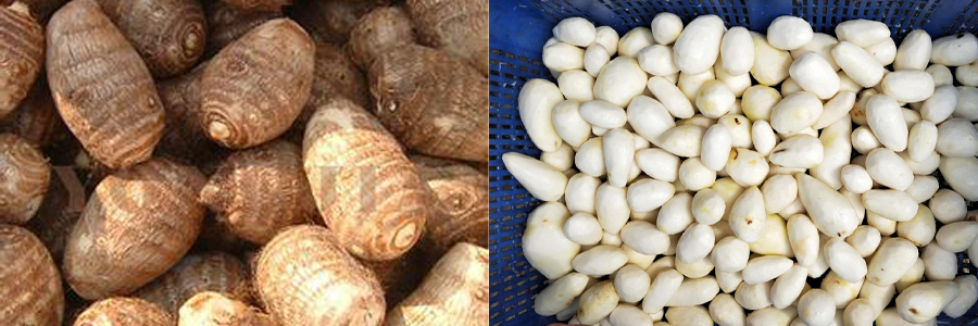 芋頭去皮機(jī) 芋頭去皮機(jī)